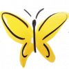 Butterfly from website