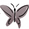 Butterfly from website - super silver